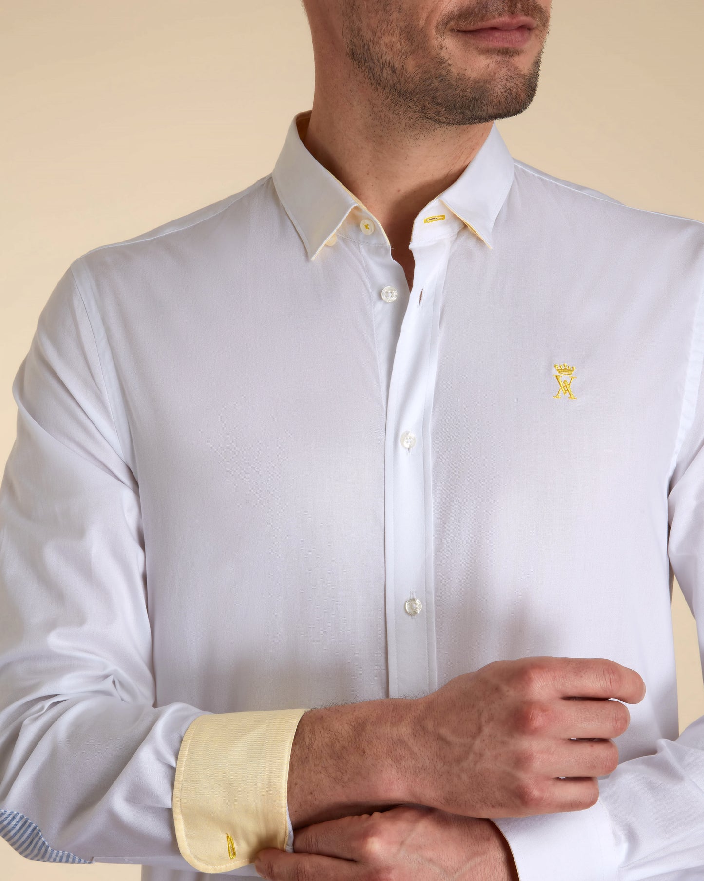 Chemise Slim Oxford