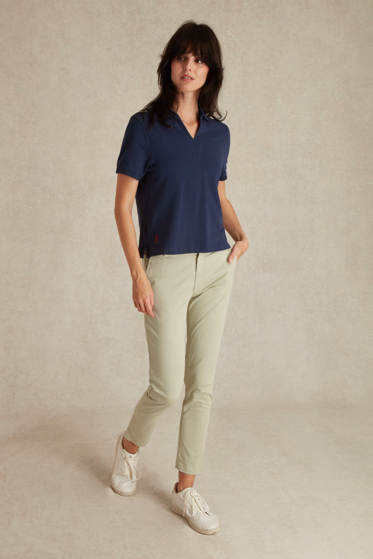 Polo Regular Col V