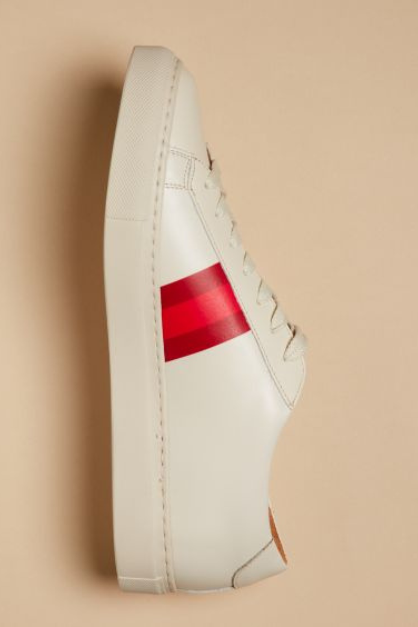 Sneaker Monte-Carlo 100% Cuir