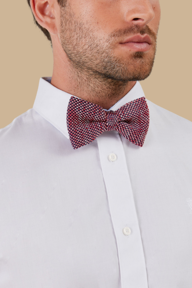 Nœud Papillon Alberto - Image principale