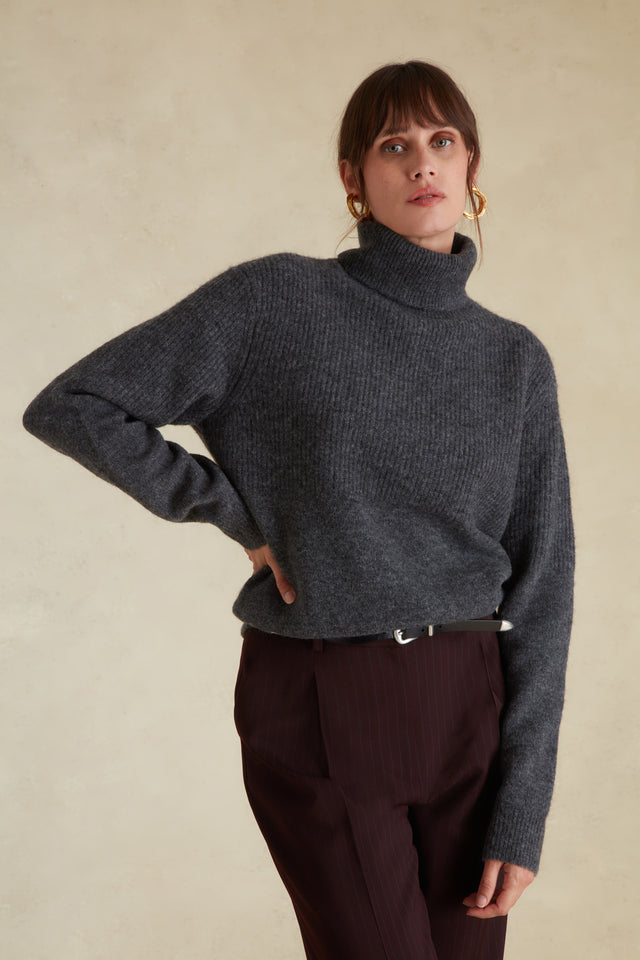 Pull Col roulé - Image principale