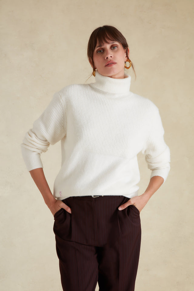 Pull Col roulé - Image principale