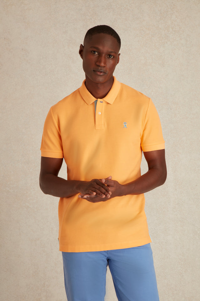 Polo à Détails Bicolore - Image principale