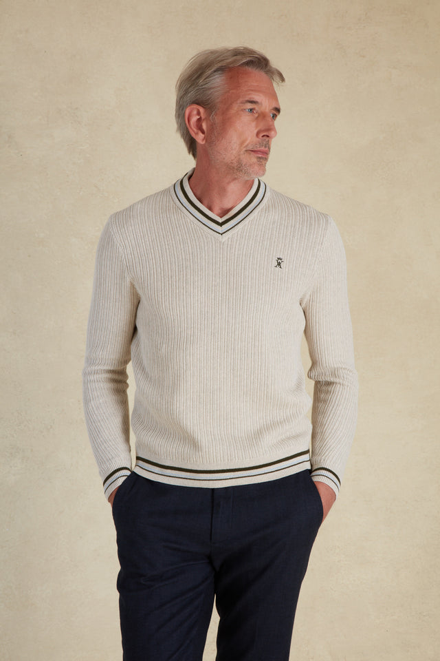 Pull Col V à Détails Rayé - Image principale